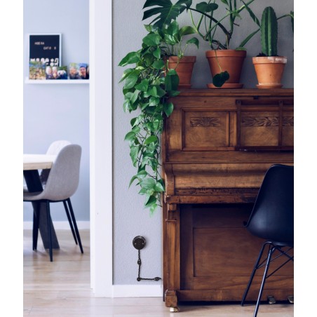 CABLE TEXTIL TRENZADO NEGRO